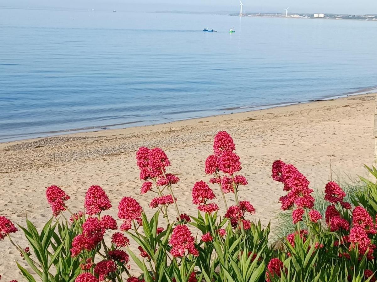 Largo Beach Holiday Home, East Neuk Of Fife, Near St Andrews Lower Largo Extérieur photo
